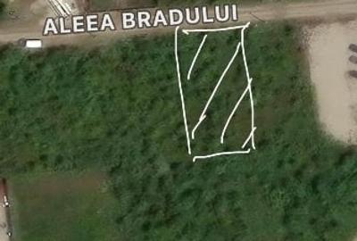 Teren Construcții intravilan de 538 mp, în Moșoaia - 5