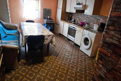 Casă cu 3 camere cu Teren 2700 Mp în Vălcani - 2