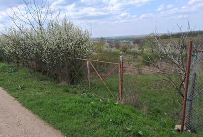 Spațiu comercial, în Central - 7