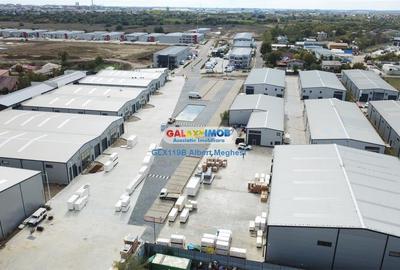 Hale Industriale Centura Rudeni Chitila Centura 415 mp/978 mp - 32