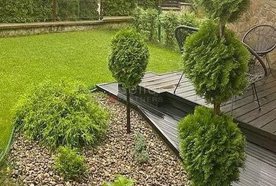 Duplex cu 4 camere cu Canalizare în Noua - 3