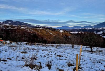Sat Peștera – Moeciu | Vedere panoramică Bucegi & Piatra Craiului - 7
