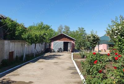 Casă cu 6 camere în Independența - 3