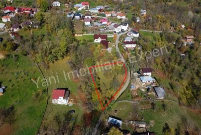 Teren de vanzare in comuna Arefu, jude? Arge?. - 14