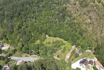 Teren intravilan de 1500 mp pe deal in Moneasa - 8