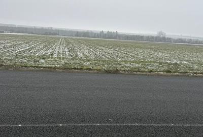 Teren de 260000 mp, în Central - 2