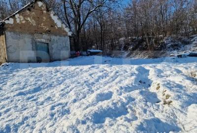 Teren de 79000 mp, în Central - 3