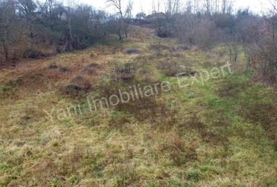 Teren de 3357 mp, în Bădila - 3