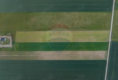 Teren 42,000mp Tarlungeni / Strada Izvor - 12