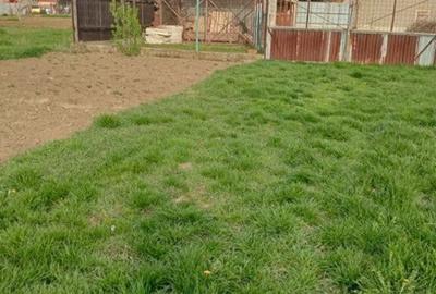 Casă cu 4 camere în Biharia - 3