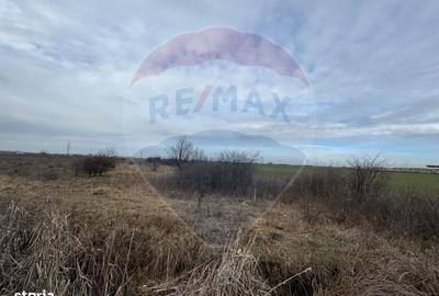 Spațiu comercial, în Nord - 2