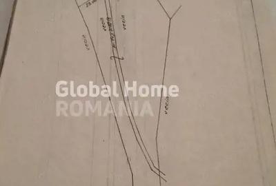 Teren 725 MP | Moieciu de Jos | Piatra Craiului | Oportunitate de investitie | - 8