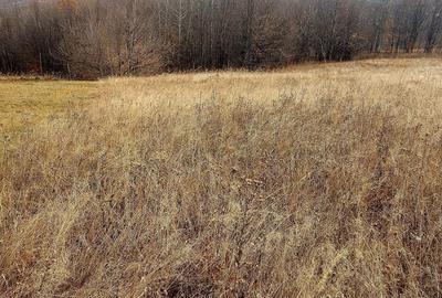 Spațiu comercial, în Central - 3