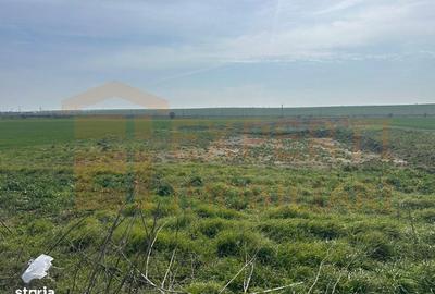 Spațiu comercial, în Valu lui Traian - 4