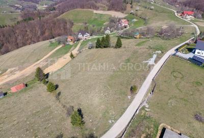 Teren Construcții intravilan de 3791 mp, în Poiana Mărului - 24