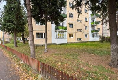 Apartament 2 camere parter 50 M² zona linistita Simeria - 12
