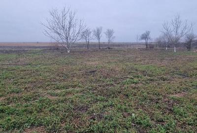 Casă cu 4 camere cu Teren 3361 Mp în Mihăilești - 6