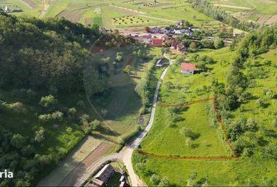 Spațiu comercial, în Bârsana - 5