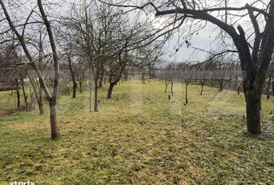 Casă cu 4 camere în Uioara de Jos - 9