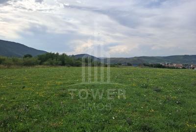 Teren agricol extravilan de 1500 mp, în Orlat - 5