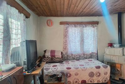 Casa cu mansardă și livada - 6