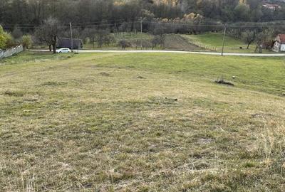 Teren de 879 mp, în Armeniș - 8