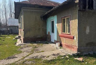 Teren de 2568 mp, în Gostinu - 4