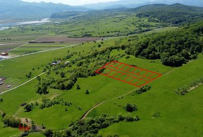 Teren agricol extravilan de 500 mp, în Bradu - 7