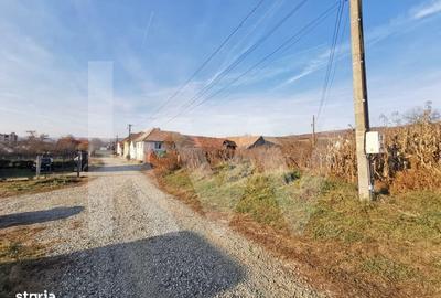 Spațiu comercial, în Ruși - 3