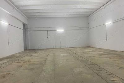 Hala industriala de inchiriat, Calea Aradului, 488mp - 1