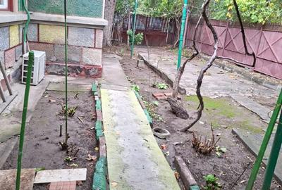 Casă 3 camere  250 mp Vitan Crivatului - 2