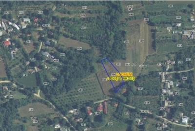 Teren Ungheni, ID: R2832820 - 2