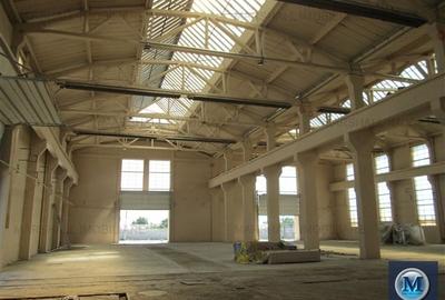 Spatiu industrial de inchiriat in Boldesti-Scaeni, zona Sud, 1948 mp #10186 - 6