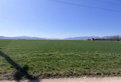 Spațiu comercial, în Galda de Jos - 2