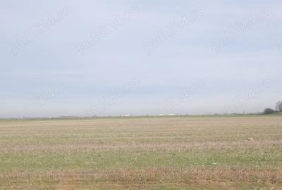 Teren de 270000 mp, în Gherghița - 5