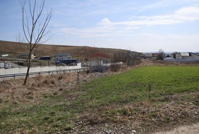 Teren Construcții intravilan de 3500 mp, în Moara - 8