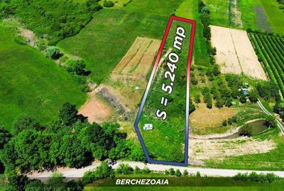 Teren agricol extravilan de 5240 mp, în Berchezoaia - 4