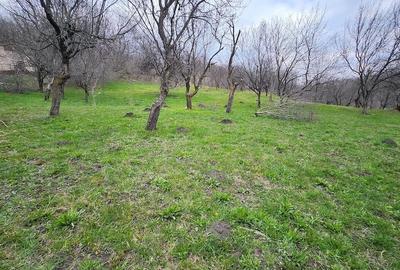 Teren de 4400 mp, în Vatra Satului - 2