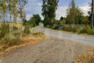 Teren de 4265 mp, în Căpușu Mare - 3