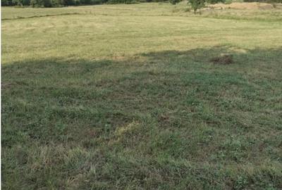 Teren extravilan 2000 mp,spre vanzare- Rusciori-5km  -Autostrada - 2