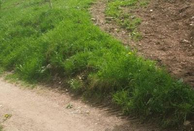 Spațiu comercial, în Central - 3