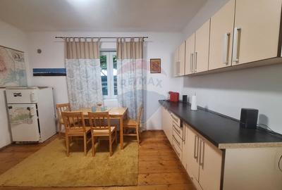 Doua case de vanzare in aceeasi curte, in zona Sub Arini - 18