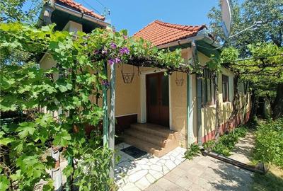 Casă cu 4 camere cu Teren 2200 Mp în Pianu - 1
