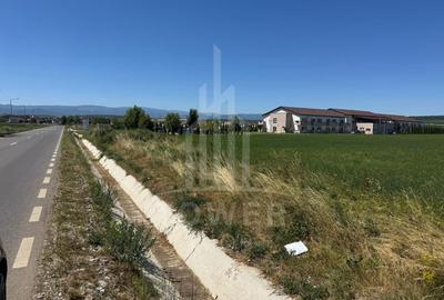 🌿 Teren 10.000 mp, Șura Mică – Ocna Sibiului | Investiție, COMISION 0% - 7