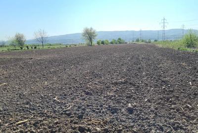 Spațiu comercial, în Troian - 7