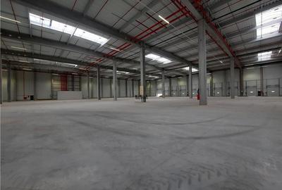 Spatiu Industrial - 4500 mp - Logistica - Productie - Depozitare - Distributie - 12