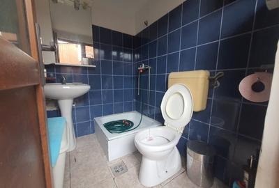 Casa 3 Camere - Mobilata / Utilata - Curte Amenajata ! - 14