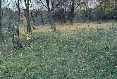 Teren intravilan 2.050 mp Comuna Izvoarele, jude?ul Prahova - 1