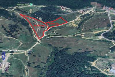 Vand 100.000 mp teren intravilan Poiana Mica - dezvoltari imobiliare - 2