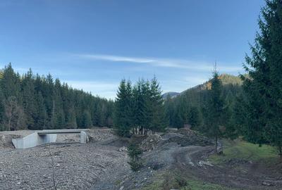 De vanzare 6850 mp pasune langa Manastirea Doroteia - Frasin /Plutonita - 2